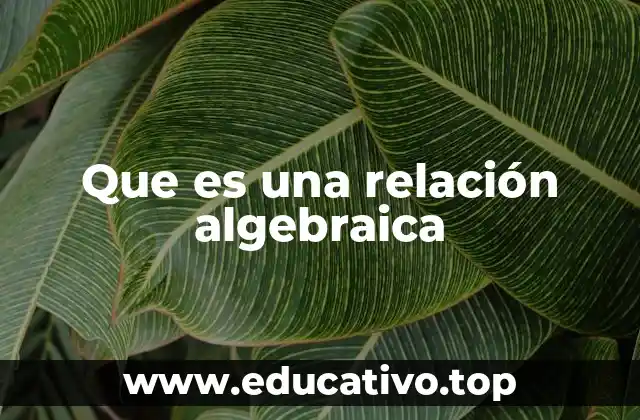 Que es una relación algebraica