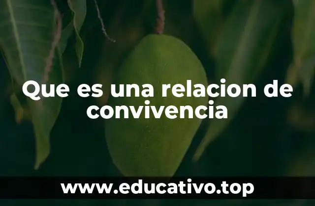 Que es una relacion de convivencia