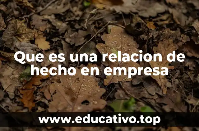 Que es una relacion de hecho en empresa
