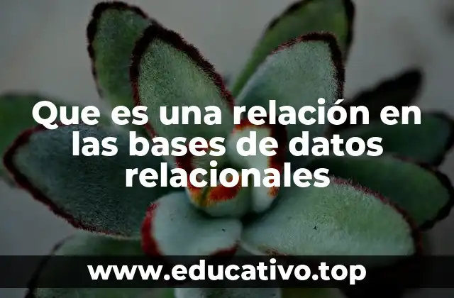 Que es una relación en las bases de datos relacionales