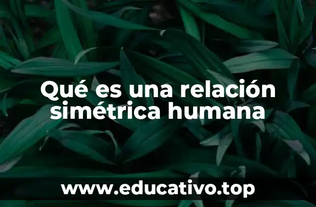 Qué es una relación simétrica humana