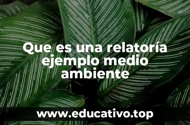 Que es una relatoría ejemplo medio ambiente