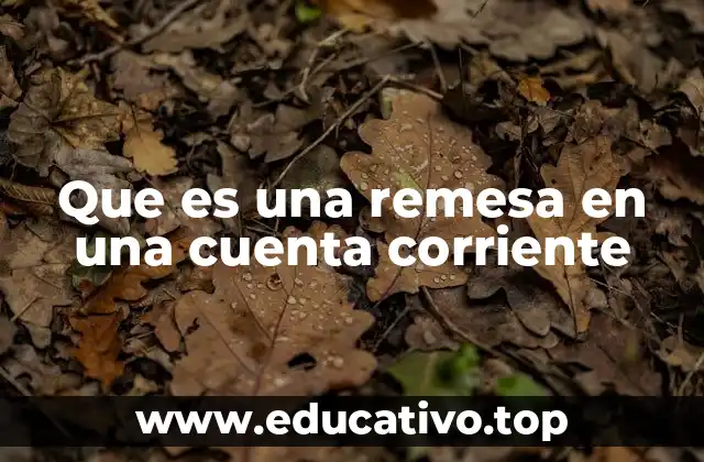 Que es una remesa en una cuenta corriente