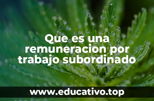 Que es una remuneracion por trabajo subordinado