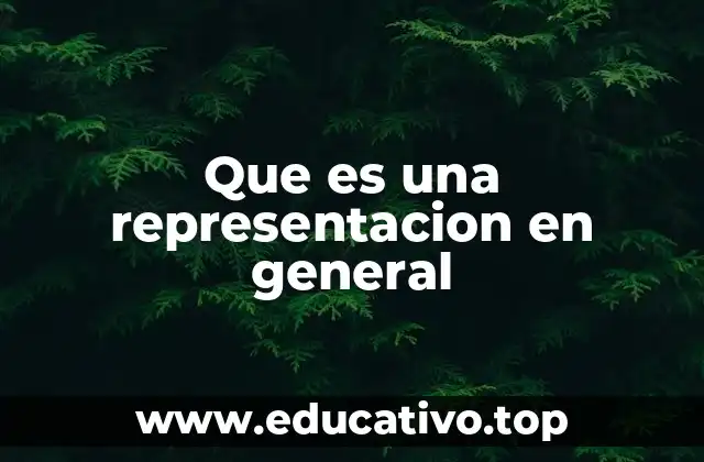 Que es una representacion en general