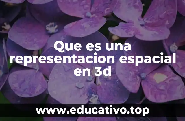 Que es una representacion espacial en 3d