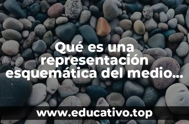 Qué es una representación esquemática del medio ambiente