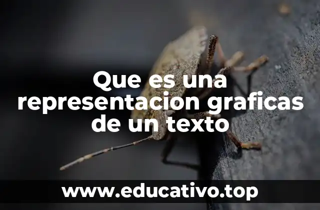 Que es una representacion graficas de un texto