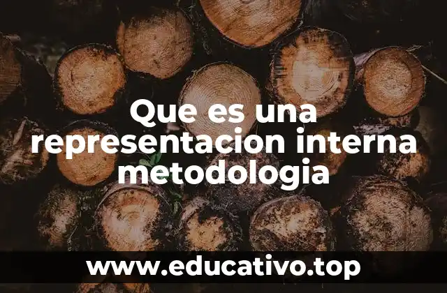 Que es una representacion interna metodologia