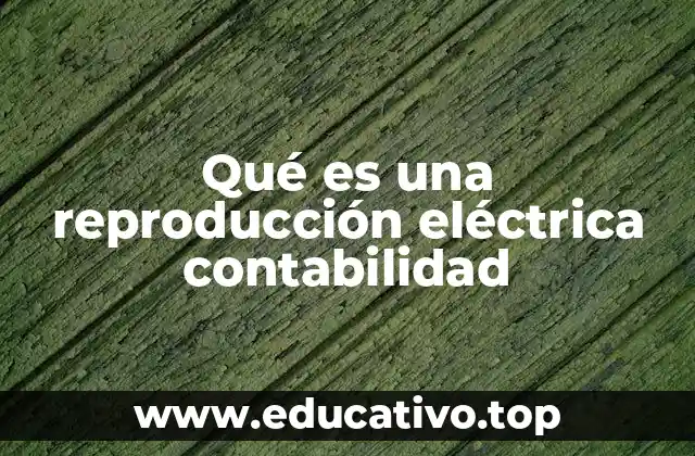 Qué es una reproducción eléctrica contabilidad