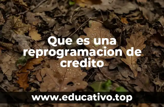 Que es una reprogramacion de credito