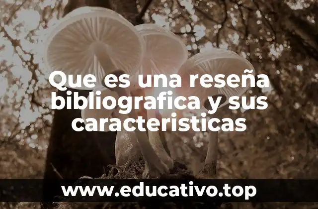 Que es una reseña bibliografica y sus caracteristicas