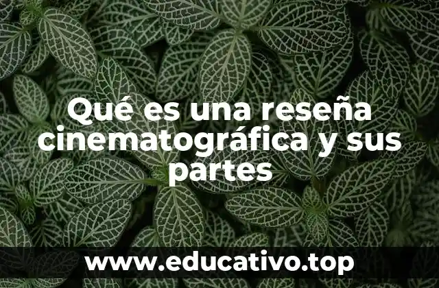 El arte de desglosar una película mediante el texto