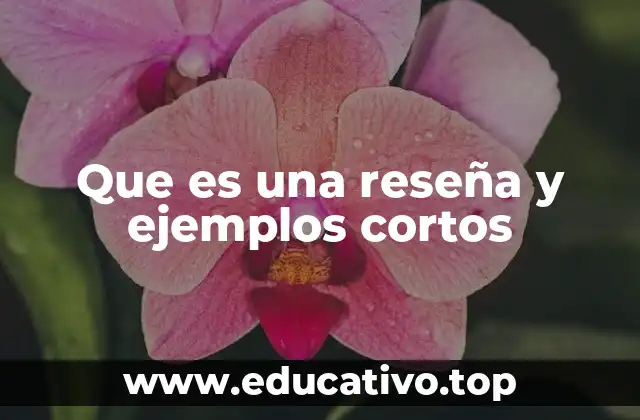 Que es una reseña y ejemplos cortos