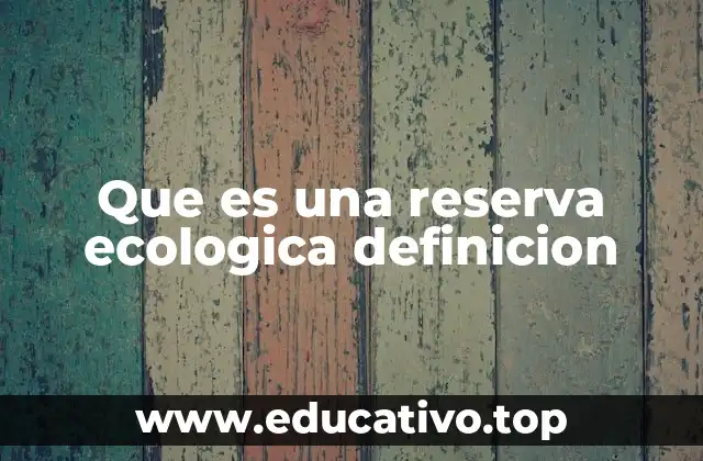 La importancia de las reservas ecológicas en la conservación ambiental