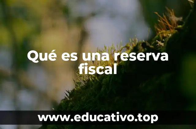 Qué es una reserva fiscal