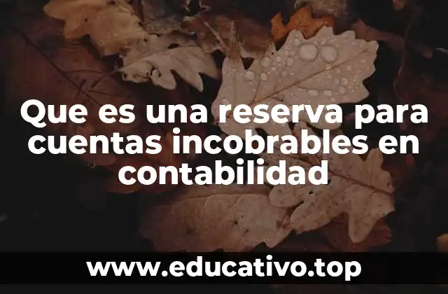 Que es una reserva para cuentas incobrables en contabilidad