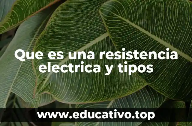 Que es una resistencia electrica y tipos