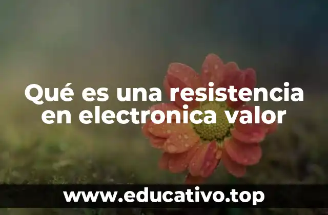 Qué es una resistencia en electronica valor