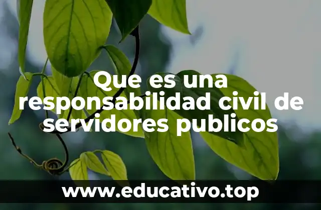 Que es una responsabilidad civil de servidores publicos