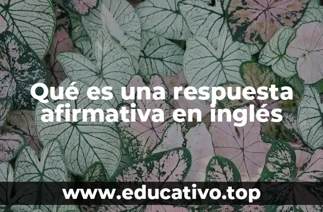 Qué es una respuesta afirmativa en inglés