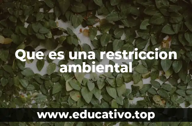 Que es una restriccion ambiental