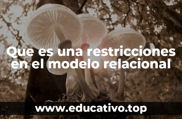 Que es una restricciones en el modelo relacional