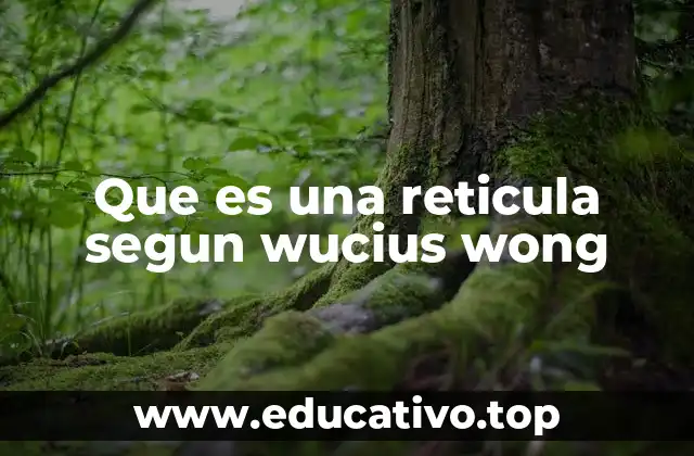 Que es una reticula segun wucius wong