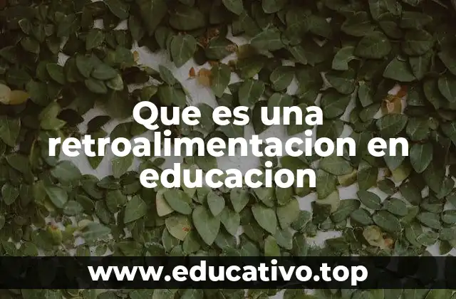 Que es una retroalimentacion en educacion