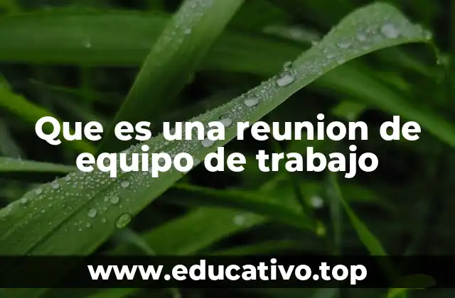 Que es una reunion de equipo de trabajo