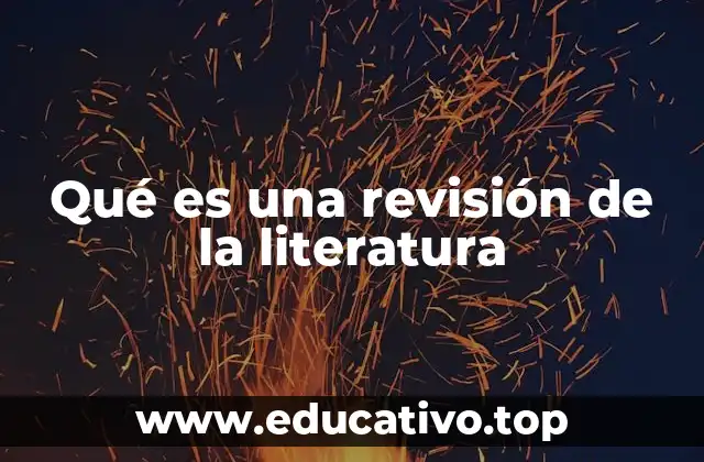 Qué es una revisión de la literatura