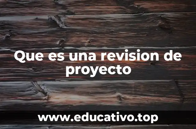 Que es una revision de proyecto