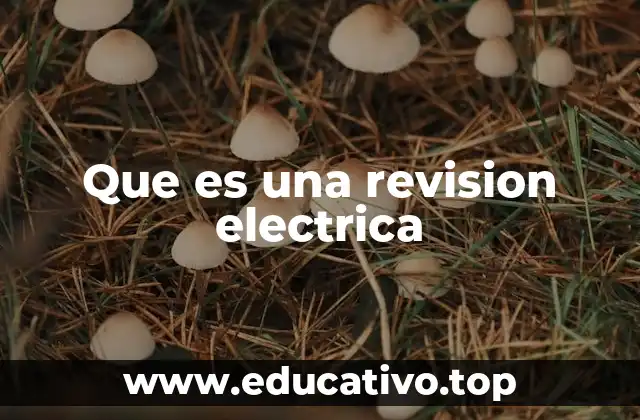 Que es una revision electrica