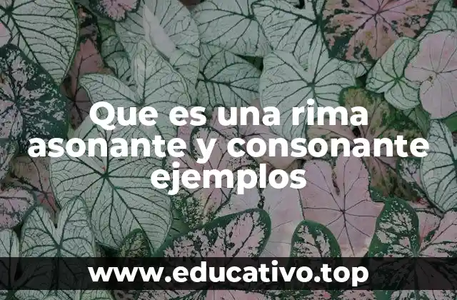 Que es una rima asonante y consonante ejemplos
