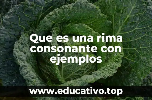 Que es una rima consonante con ejemplos