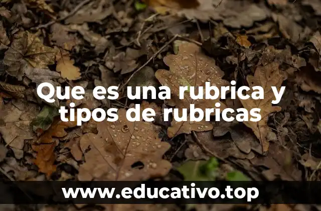 Que es una rubrica y tipos de rubricas