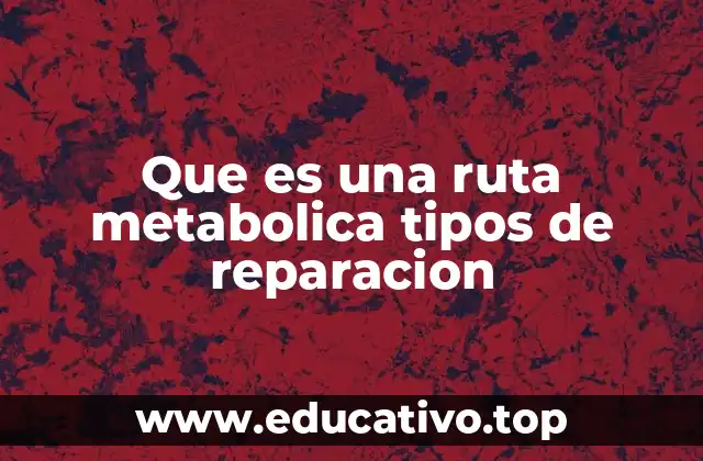 Que es una ruta metabolica tipos de reparacion