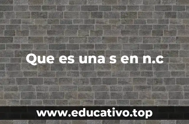 Que es una s en n.c