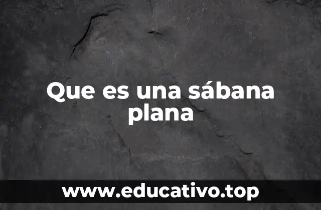 Que es una sábana plana