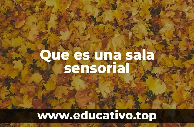 Que es una sala sensorial