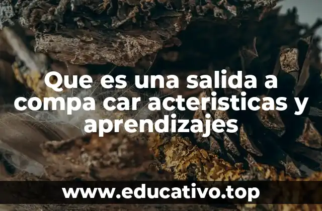 Que es una salida a compa car acteristicas y aprendizajes
