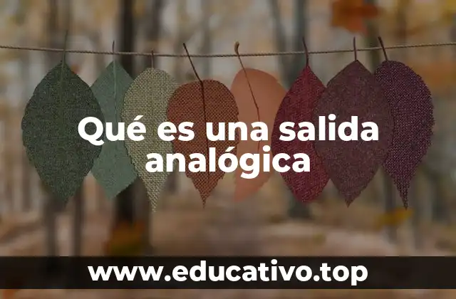 Qué es una salida analógica