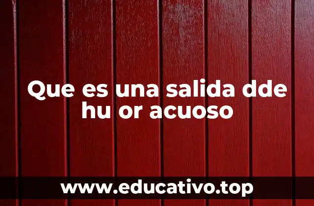 Que es una salida dde hu or acuoso