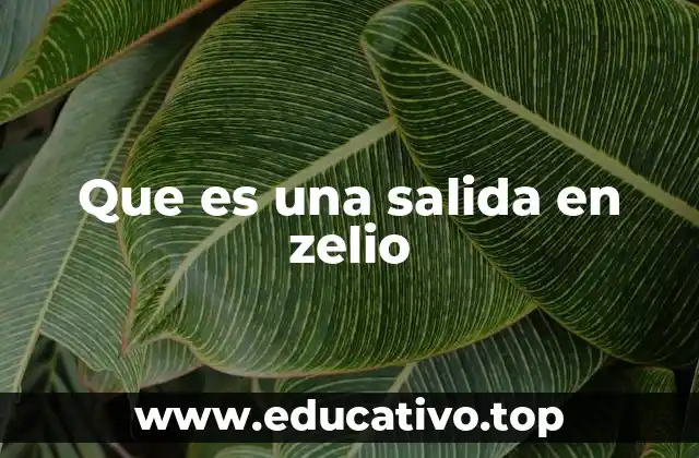 Que es una salida en zelio