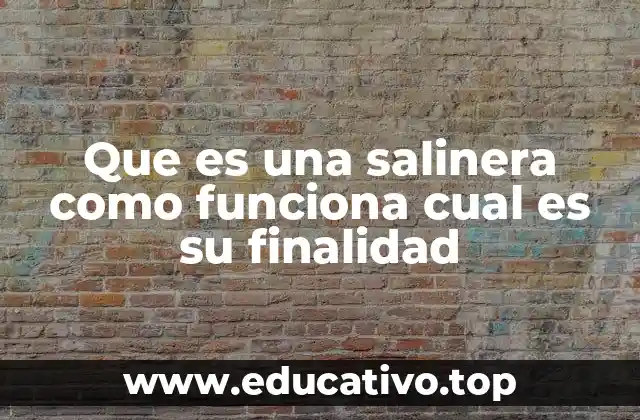 Que es una salinera como funciona cual es su finalidad