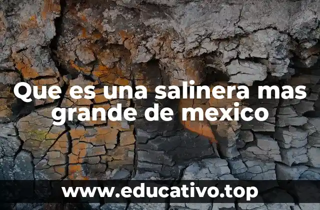 La importancia de las salineras en la economía mexicana