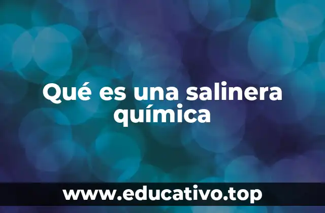 Qué es una salinera química