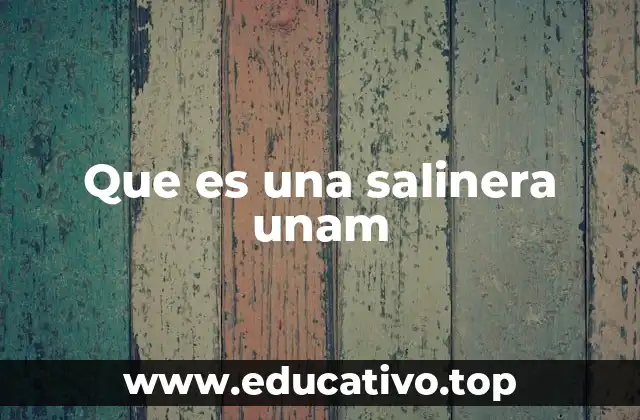 Que es una salinera unam