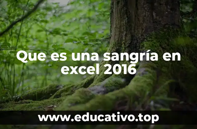 Que es una sangría en excel 2016