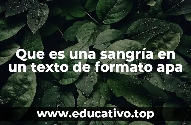 Que es una sangría en un texto de formato apa
